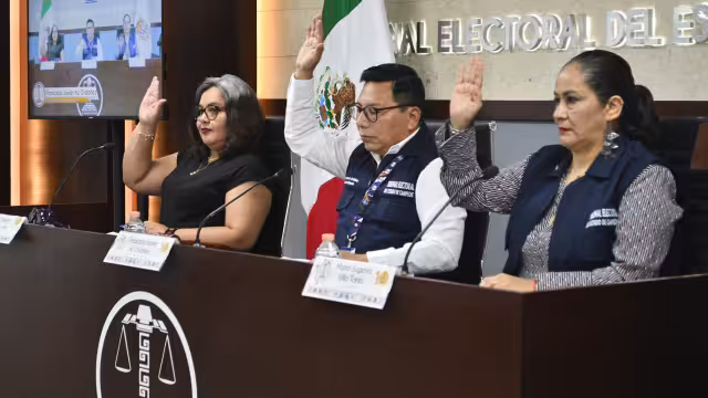 La resolución fue a favor de Movimiento Ciudadano debido a la demora injustificada de 41 días en el pronunciamiento de las medidas cautelares solicitadas.