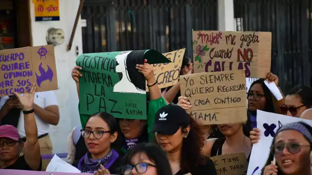 En 2024 se redujo 50 por ciento el presupuesto para la búsqueda, no hay carpetas de investigación