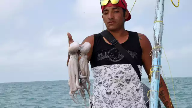 La pesca ilegal y los contaminantes industriales ponen en jaque al Golfo de México