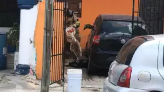 Grave ataque de abejas deja herida a mujer embarazada y a un cachorro rottweiler