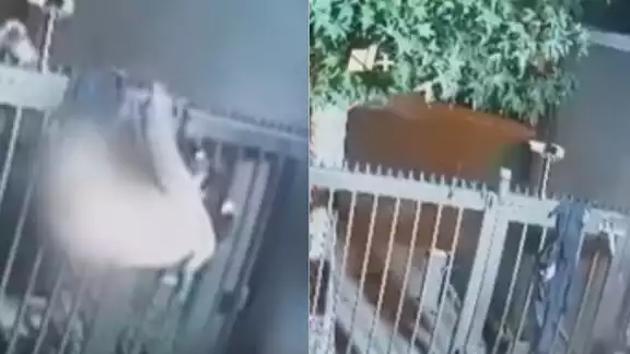 Mujer se queda sin ropa al intentar robar una casa y es captada en video