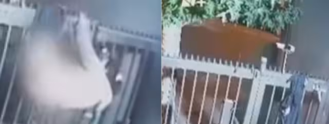 Mujer se queda sin ropa al intentar robar una casa y es captada en video