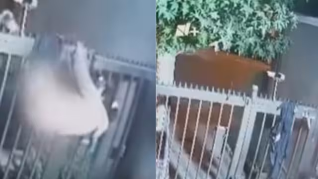 Mujer se queda sin ropa al intentar robar una casa y es captada en video