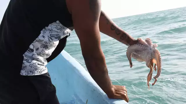 Al menos 40 buzos llegaron a la ínsula para comenzar la temporada