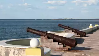 ¿Sabías que existe una canción de Cri-Cri que menciona a Campeche y Celestún?