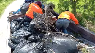 Goverdi en Campeche recibe 11 mdp al mes sin rendir cuentas, acusa regidor de Morena