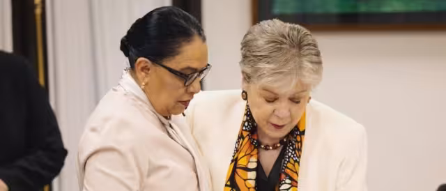 La titular de la SRE, Alicia Bárcena, indicó que bandas criminales están intentando reclutar a jóvenes en Chiapas