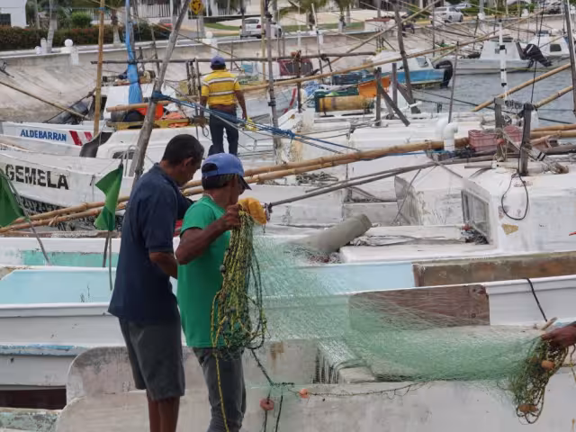 La falta de trabajos que permitan renovar los volúmenes de captura ha afectado al sector pesquero
