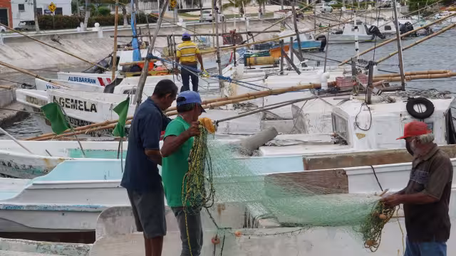Pescadores de las costas campechanas padecen por la captura ilegal de algunas especies marinas.