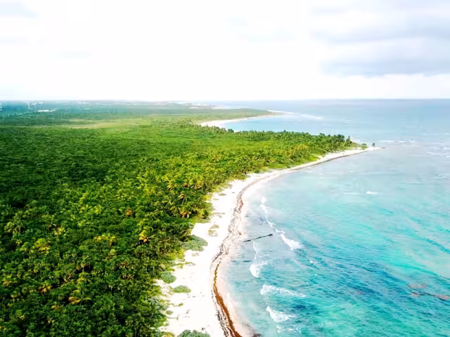 El polígono del santuario de la tortuga deja fuera espacios esenciales; el proyecto ciudadano pretende un resguardo integral y definitivo