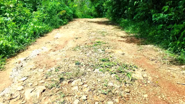 El trayecto a Los Insurgentes es casi intransitable, lo que dificulta el traslado de estudiantes, aseguraron padres; en otros tramos, el monte invade la terracería.