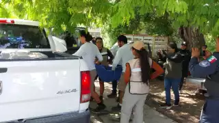 Rescatan a Venado Cola Blanca en Playa del Carmen