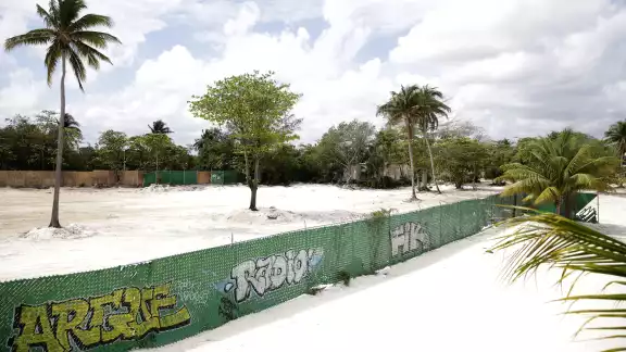No se sabe qué proyecto desarrollarán en el lugar, donde sólo quedaron algunas palmeras