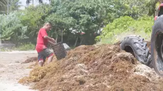Cientos de toneladas de sargazo recalan en playas con certificación Blue Flag en Cancún