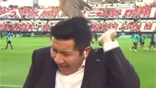 Se sorpresa fue la reacción del periodista