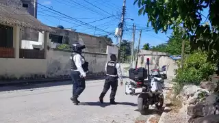 Abren carpeta de investigación por atropellamiento de canino en Campeche