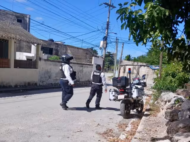 Fiscalía investiga atropellamiento de perro y maltrato animal en Campeche