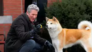 Día del Perro: Siete lomitos  que hicieron historia 