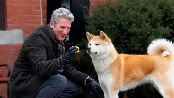 La historia de Hachiko saltó al cine, lo que hizo que muchos lloraran con ella
