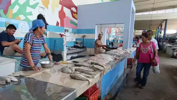La situación de la actividad es precaria; la caída en los volúmenes de captura obliga a los pescadores a adentrarse cada vez más mar adentro y arriesgar la vida.