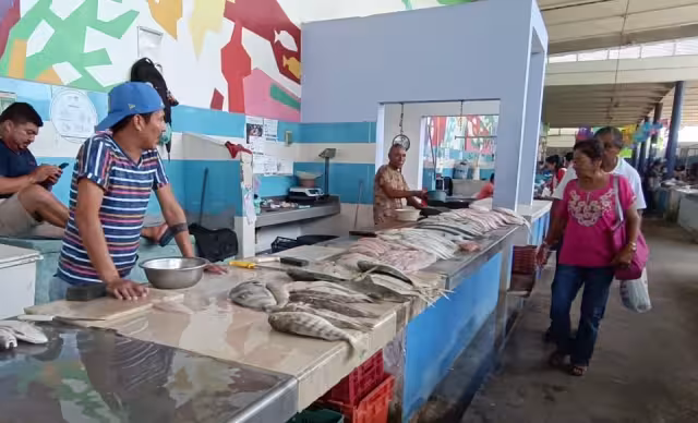 La situación de la actividad es precaria; la caída en los volúmenes de captura obliga a los pescadores a adentrarse cada vez más mar adentro y arriesgar la vida.