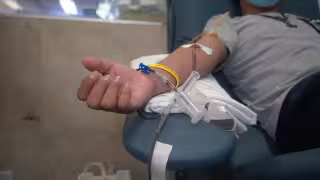 “Es el mejor regalo que podemos darles": IMSS de Q. Roo lanza llamado urgente a donar sangre para niños con cáncer