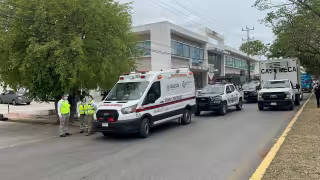 Violencia familiar en Campeche: mujer agredida y policía herido por un perro