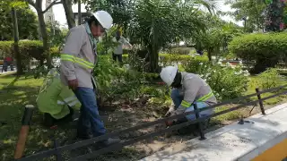 Ley Silla beneficiará a 200 trabajadores de campo en Carmen
