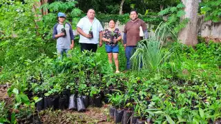 Gobierno de Yucatán impulsa reforestación en Tzucacab, Tekax y Oxkutzcab con Renacimiento Verde