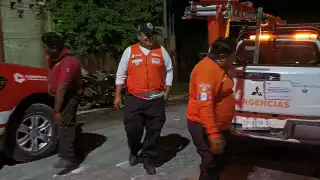 Alerta en Campeche por avistamiento de presunto jaguar en la colonia 20 de Noviembre