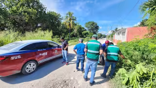 Taxista atropella a perrito callejero en Champotón; fue obligado a cubrir con los gastos médicos