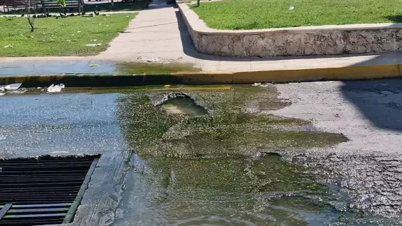 En Guadalupe se desperdician litros de agua por una tubería rota En Guadalupe se desperdician litros de agua por una tubería rota