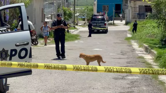 Siete perros mueren envenenados y comunidad clama justicia Siete perros mueren envenenados y comunidad clama justicia