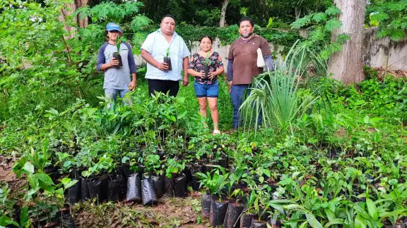 El Gobierno estatal busca impulsar la reforestación en la entidad. El Gobierno estatal busca impulsar la reforestación en la entidad.