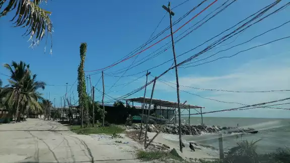 Profepa sanciona la invasión de espacios en Ciudad del Carmen