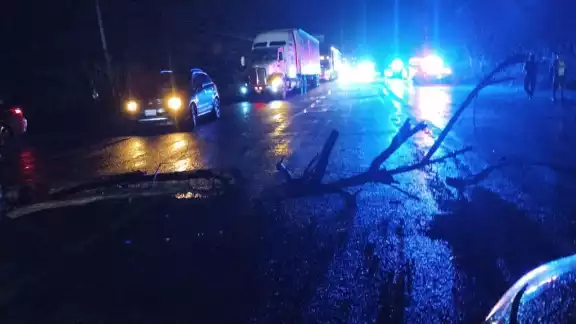 Pobladores de Nuevo Progreso iniciaron el bloqueo en la carretera federal.