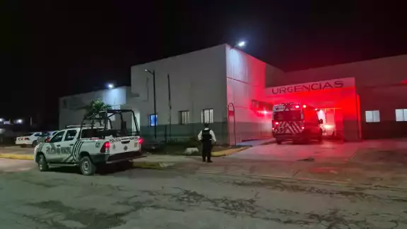 Radiólogo Pescador Sufre Reacción Alérgica por Picadura de Abeja en Champotón Radiólogo Pescador Sufre Reacción Alérgica por Picadura de Abeja en Champotón