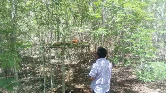 En la actualidad, los jóvenes campesinos han perdido el interés por las ceremonias mayas