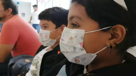 La enfermedad es causada por la bacteria Bordetella pertussis, que ataca a las personas no vacunadas; inicia como una gripe, pero evoluciona como una tos asfixiante La enfermedad es causada por la bacteria Bordetella pertussis, que ataca a las personas no vacunadas; inicia como una gripe, pero evoluciona como una tos asfixiante