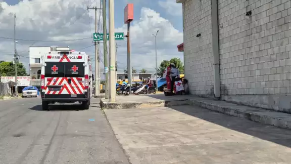 Una familia fue atacada por un enjambre en la colonia El aserradero Una familia fue atacada por un enjambre en la colonia El aserradero