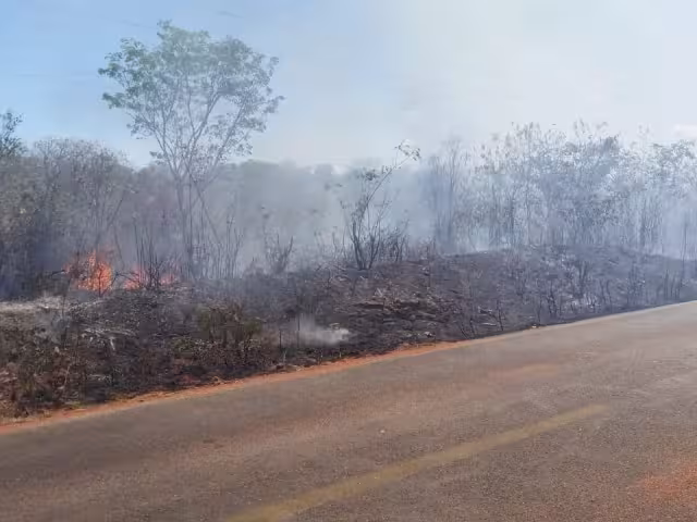 Además de no contar con energía eléctrica, los pobladores se quejan porque escasea el agua, y mientras el fuego avanza.
