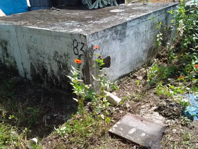 Se reportó otra profanación de tumba en el cementerio El Nuevo, en la colonia La Jeringa