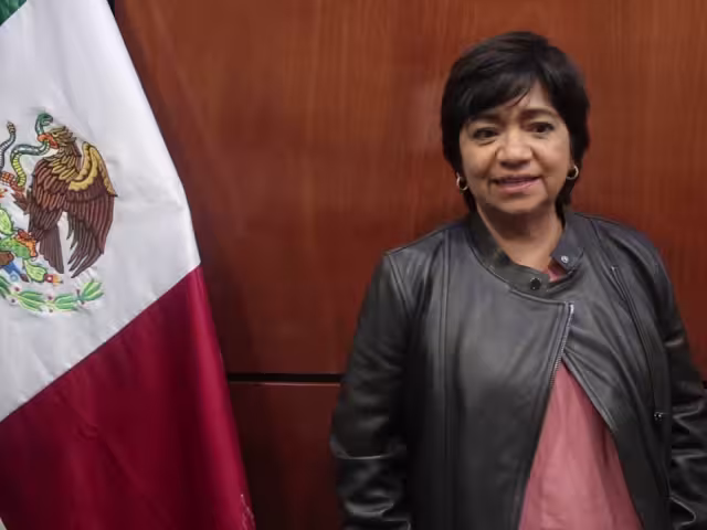 Vega Rangel es licenciada en Sociología con especializadas en Sociología Urbana por la Universidad Autónoma Metropolitana