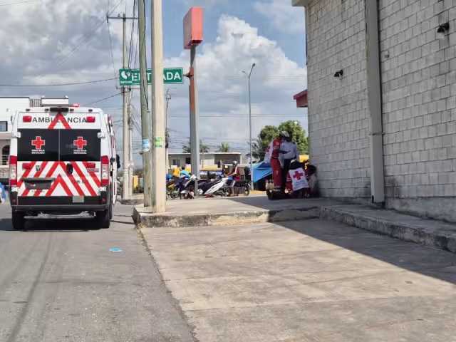 Una familia fue atacada por un enjambre en la colonia El aserradero