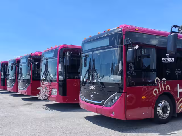 El nuevo sistema de transporte Koox comenzará operaciones este 2 de agosto en Campeche.