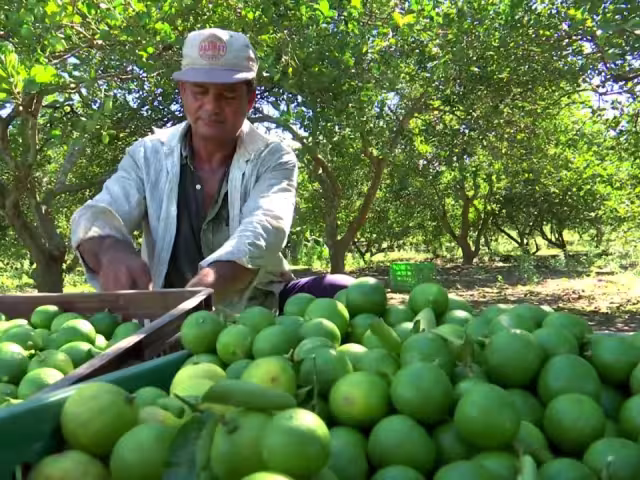 Productores esperan llegar a un acuerdo que favorezca la movilidad de su producto.