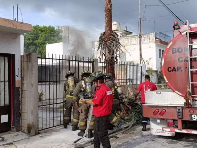 Bomberos de Cancún rescatan a gatito en un incendio
