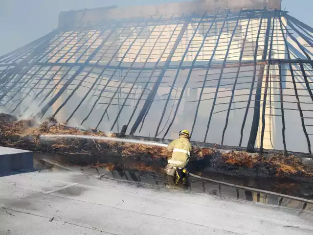 Elementos del Heroico Cuerpo de Bomberos lograron sofocar las llamas.
