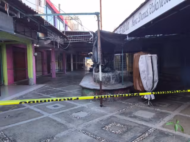 Coordinadores parlamentarios urgen atención a enfermedades mentales