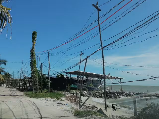 Profepa sanciona la invasión de espacios en Ciudad del Carmen